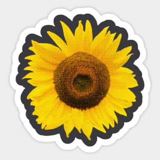 Sunflower Sunflower Sticker